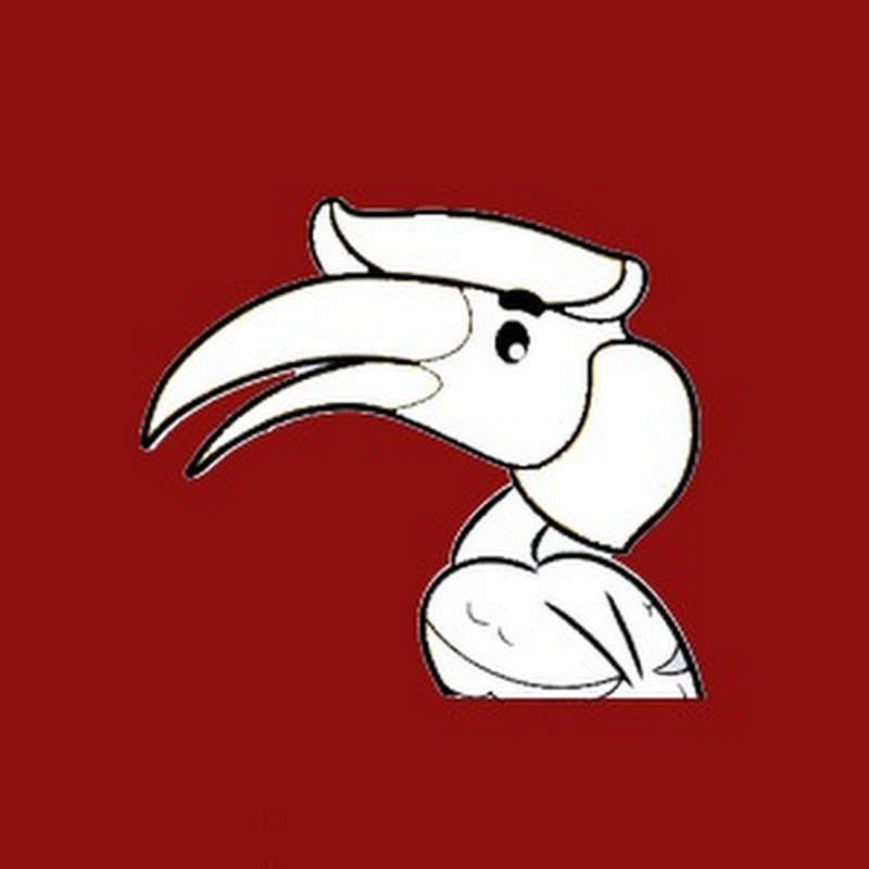 borrbo
