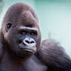 一人ジェンカ🥶