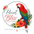 G7jy6yHNZnA-channel-avatar-Parrot Bliss