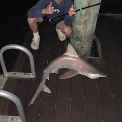 D-DaddyFishing