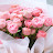 @아름다운인생-g9p