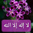 @Jawaher_alharbi