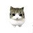 @Cute_cat-nathan