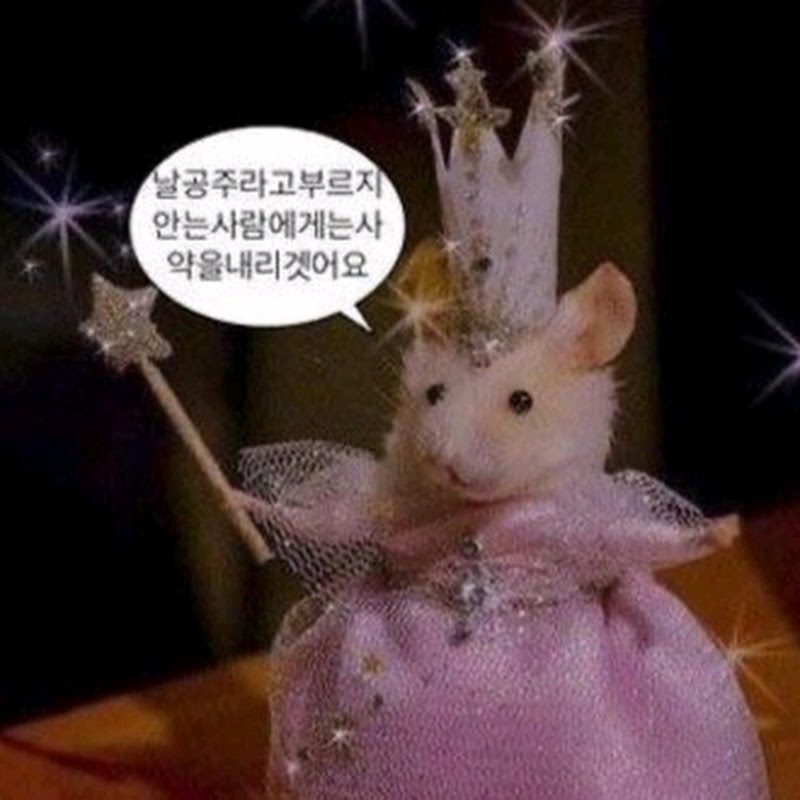 15_송유민