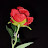 @Maryam-g7b