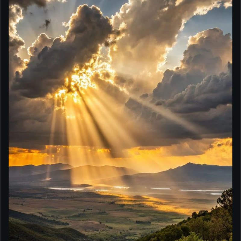 الرسم البسيط 