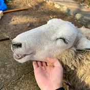 Animal_hantingあにまるハンティング