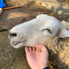 Animal_hantingあにまるハンティング