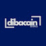 I38LHM4MS9M-channel-avatar-Dibacain - Insight Literasi