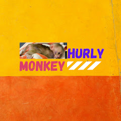 Hurly Monkey net worth