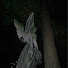 aDIVJwP-ZeM-channel-avatar-fear.