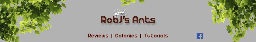 RobJ's Ants ইউটিউব চ্যানেল অ্যাভাটার