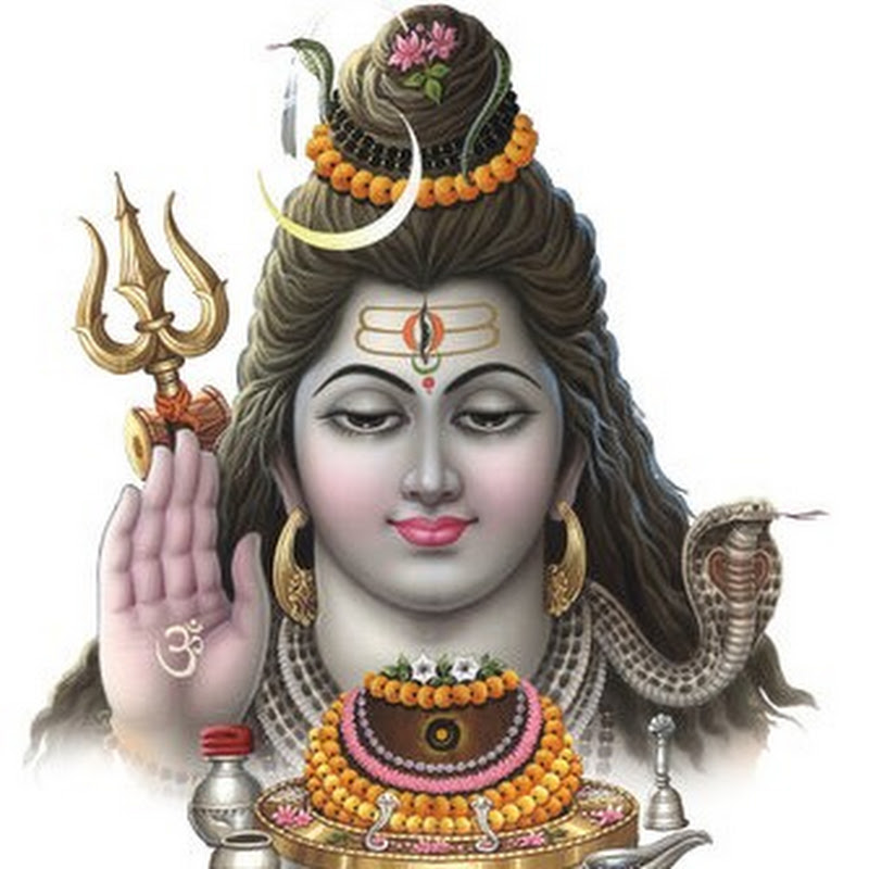 astro pandit arun bhardwaj