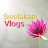 Sreelakam Vlogs