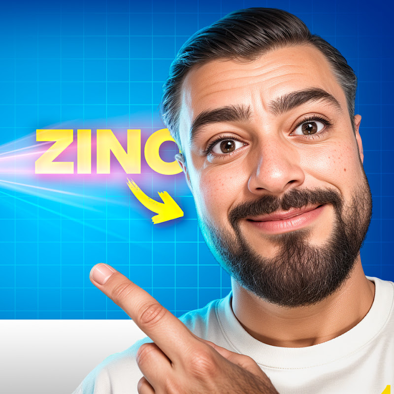 ZinoNetic