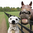 tbLDjRQoTCQ-channel-avatar-Funny Pet Mood