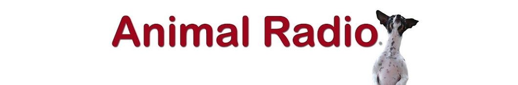 AnimalRadio رمز قناة اليوتيوب