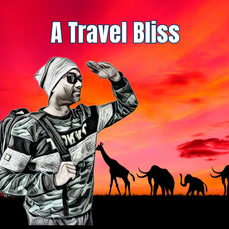 A Travel Bliss channel avatar