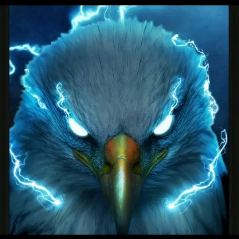 Eagle Eye Yt 