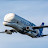 @BelugaXL Avatar