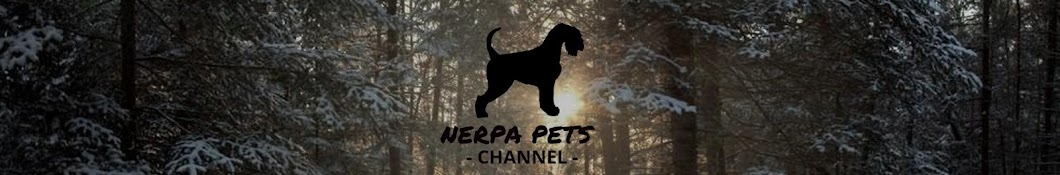 NERPA PETS YouTube 频道头像