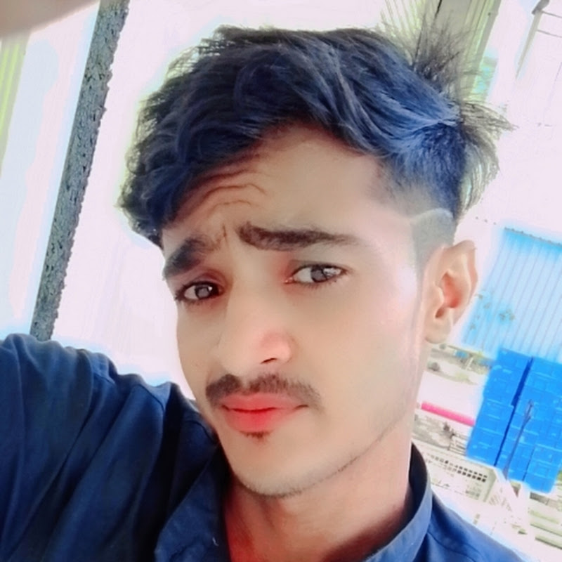 Hire HasmukhSatyam — Wildlife & Nature Documentaries (Animals) YouTube creator for sponsorships