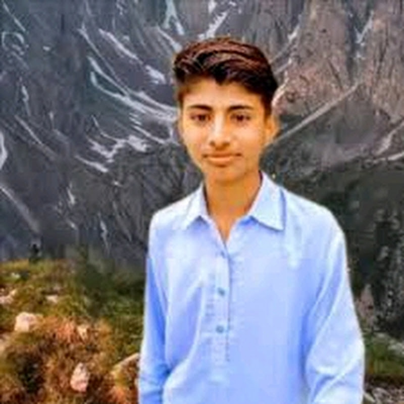 Hire Abdul Qadeer Channar — Business & Finance YouTube creator for sponsorships