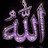 @AshrafBorgih