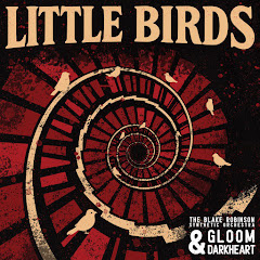 The Blake Robinson Synthetic Orchestra - Topic