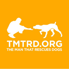 The man that rescues dogs Avatar