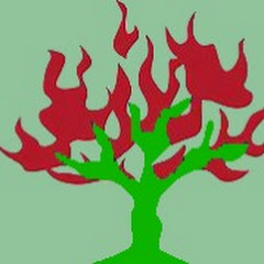 火树投研🔥🌳アイコン画像