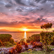 Naturaleza Viva - Ocean Sounds For Sleeping
