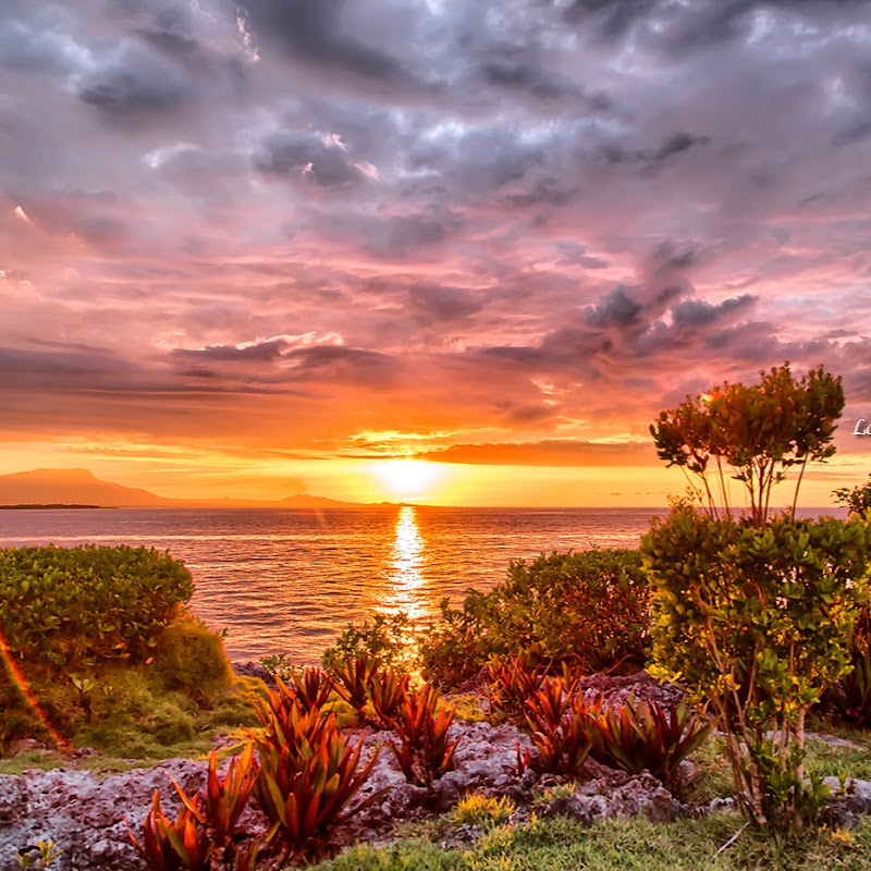 Naturaleza Viva - Ocean Sounds For Sleeping