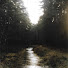 dk6BatChh98-channel-avatar-You Are Here - Nature