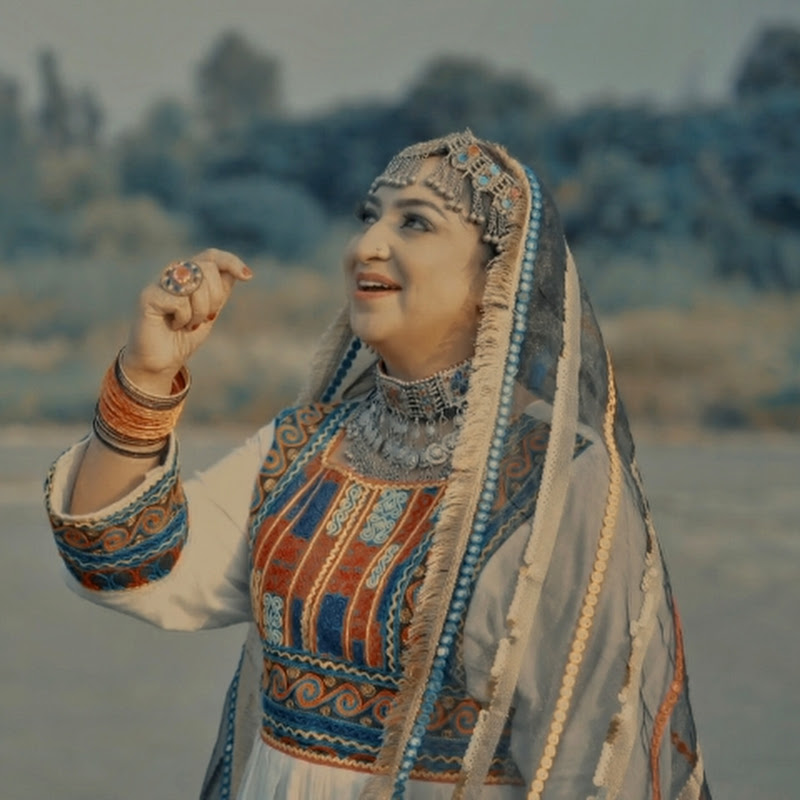 Afshan Zaibe Music icon