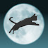 RE6Djnf5t9U-channel-avatar-ねこてー