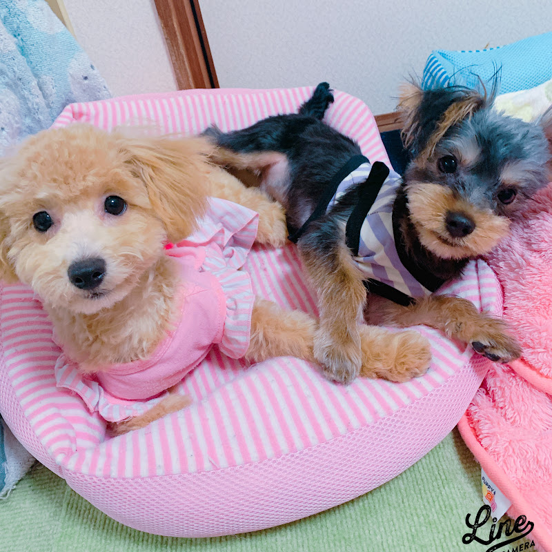 らんうる成長記♡