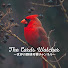 0Vd1pBaFoF8-channel-avatar-The Cards Watcher_世界の野球考察チャンネル