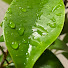 51OxTwttfGM-channel-avatar-sakince summanus