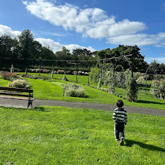 Tadhg the terror 