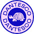 SOk7D2xATW8-channel-avatar-Dantesco Media