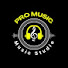 -koAXnko2io-channel-avatar-PRO MUSIC