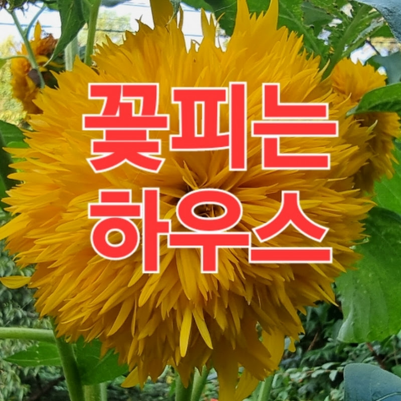 꽃피는하우스 (다육하우스TV) Logo