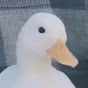 YekoDemorchive Avatar