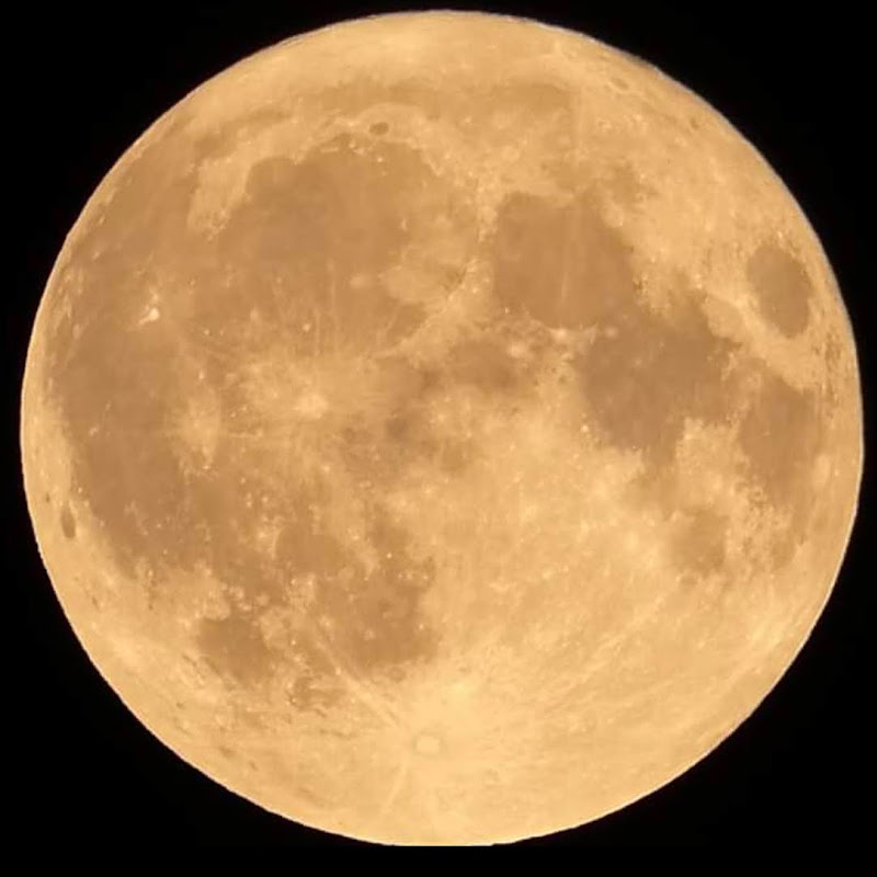 Europe-Travel