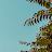 @adarshyati1 Avatar