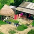 8oYcj-yn3GU-channel-avatar-বিডি কাউয়া টিভি