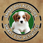 Smart Dog Activities  logo
