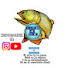 DvkE5uT5voU-channel-avatar-PESCANDO CON PASIÓN 
