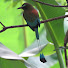 hskR8zcmQc0-channel-avatar-CIENARTES El Salvador and El Salvador Drone
